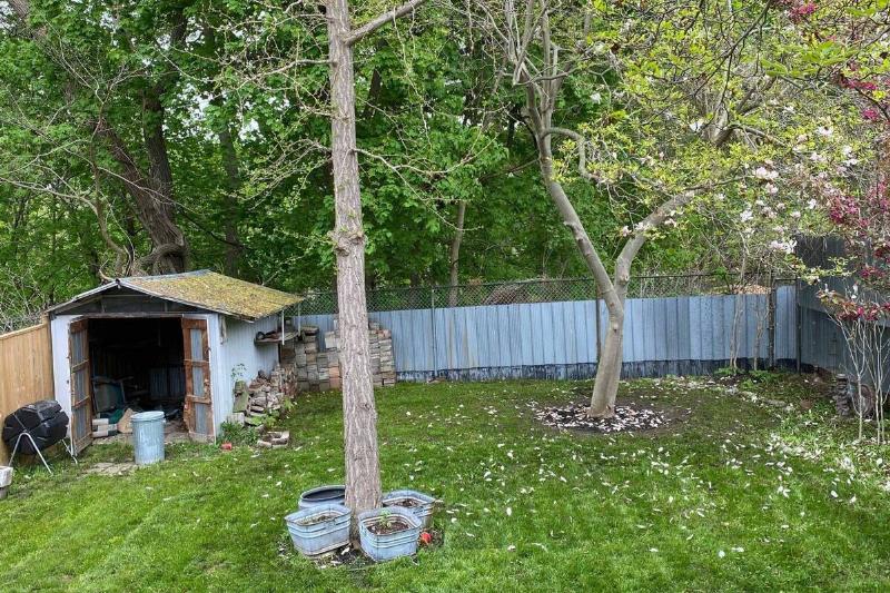 A backyard with no weeds.