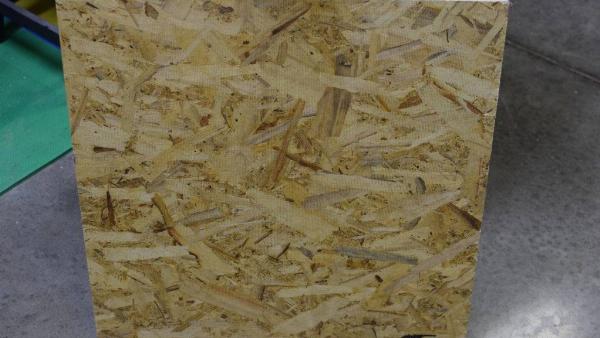 Plywood-front-view-92189-1024x683-1-97059