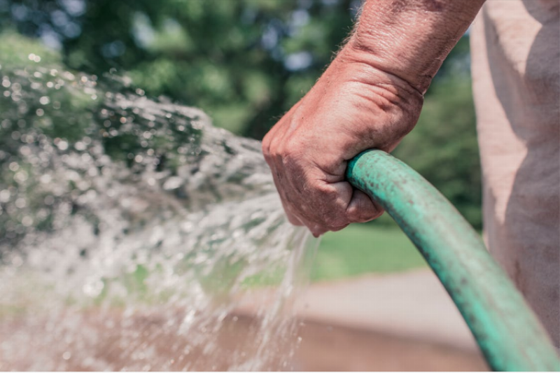 Watering plants with a hose. 