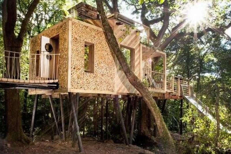 A modern treehouse.