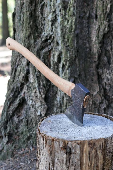 An axed in a log.