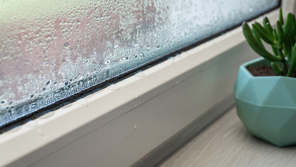 Condensation on a window.