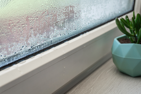 Condensation on a window.