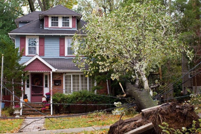 A tree that has fallen through power lines onto a house.