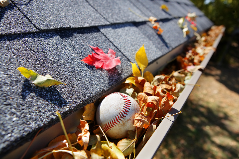 Baseball in a gutter.