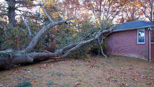 A tree collapsed on a house.