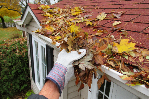 Hand removing leafs from roof.
