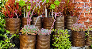 Are Rusty Pots Really a Problem For Your Plants?
