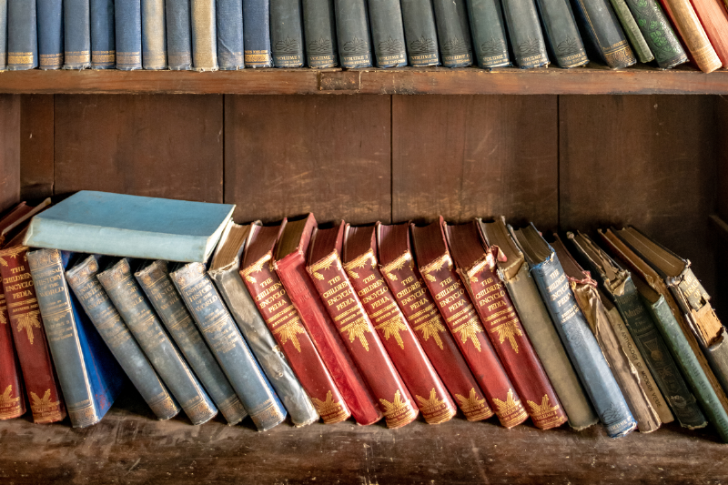 Books on a shelf.