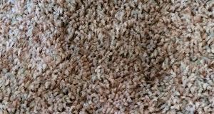 How to Dry Your Wet Carpet