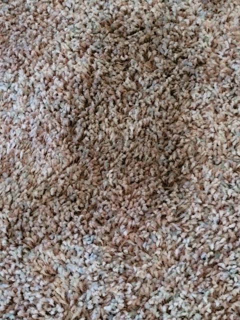 A wet spot on a carpet.