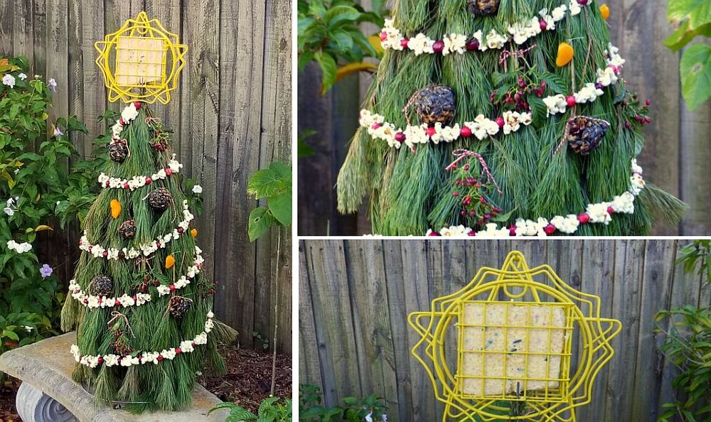 Christmas tree that feeds your feathery friends with ease
