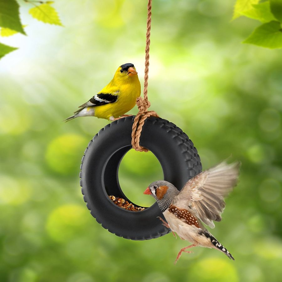 Create your own tire swing bird feeder this summer
