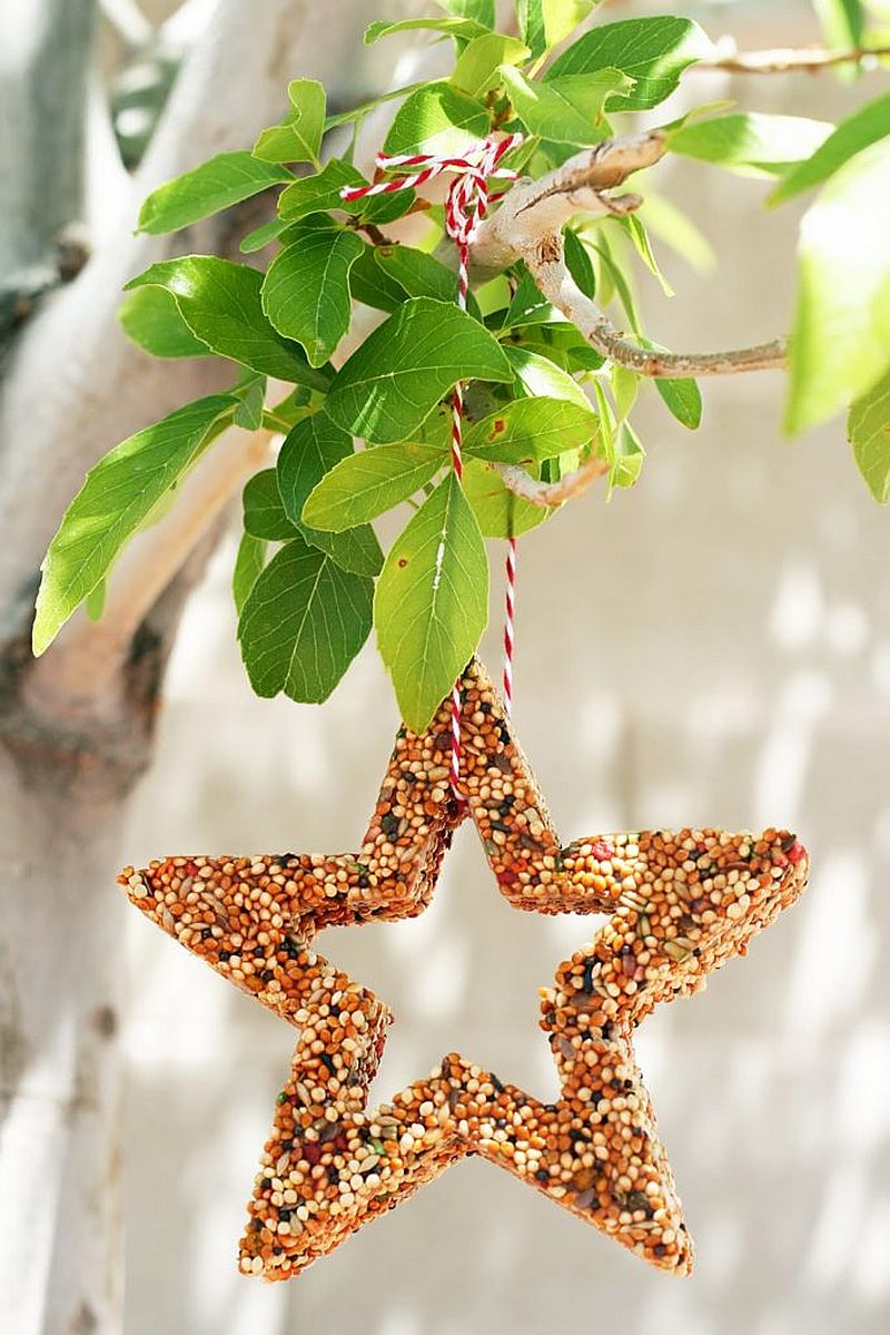 Custom star shaped bird feeder idea for the trendy garden