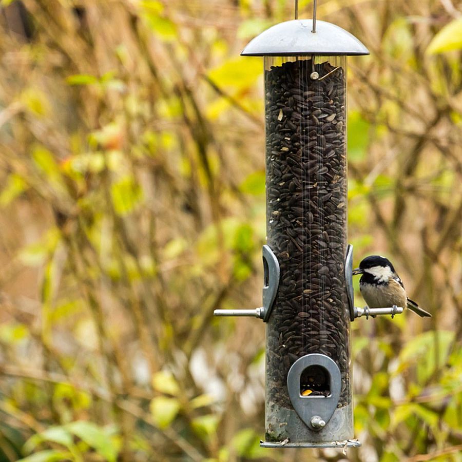 DIY Tube style bird feeder from Family Handyman