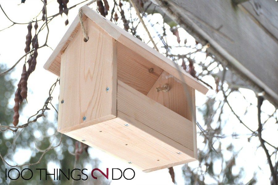 Easy wooden DIY bird feeder that costs just 4