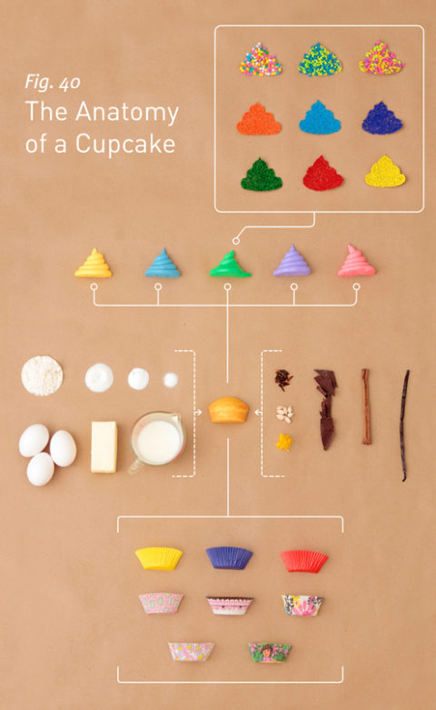 cupcakeanatomy_v03.jpg