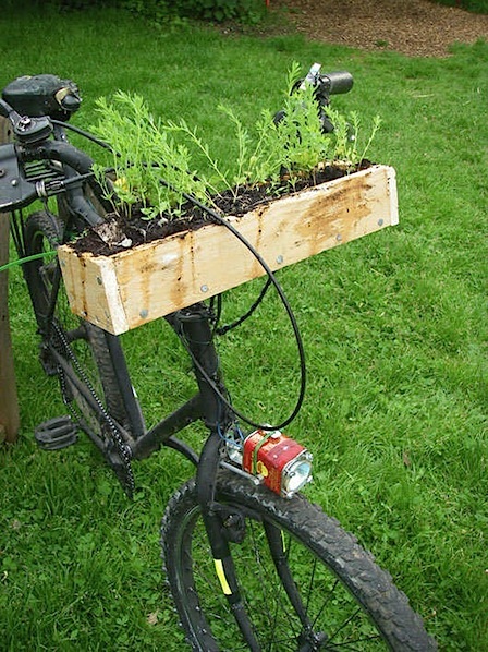 handlebargarden.jpg