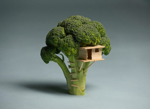 broccoli_20house.jpeg