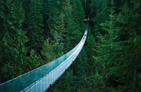 capilano-suspension-bridge.jpg