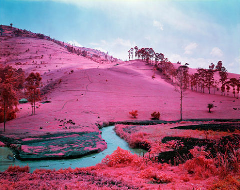 richard-mosse_infra_photography_congo_yellowtrace_01.jpg