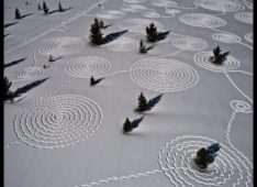 Snow Drawings by Sonja Hinrichsen