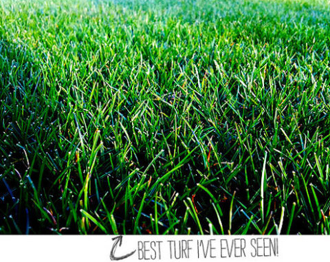 created at: 03/15/2012
