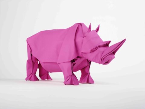 rhino_magenta.jpg