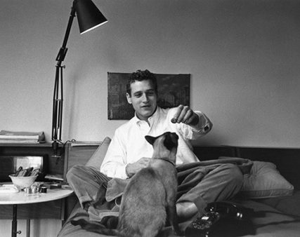 paulnewman_11_large.jpg
