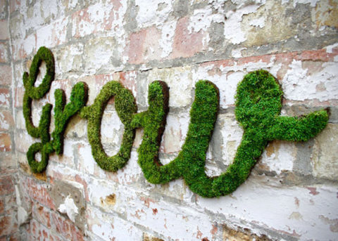 Moss Graffiti by Anna Garforth