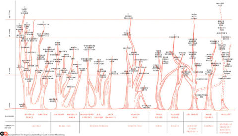 bourbon-family-tree-large_large.jpg