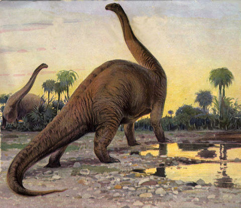 Batuman-brontosaurus-690_large.jpg