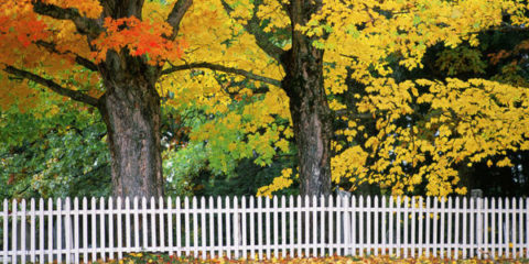 1441918907-landscape-1441754621-fall-picket-fence_large.jpg