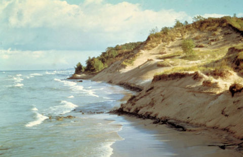 fatherly-indiana-dunes-national-park_large.jpg