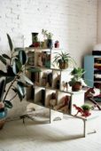 6 Masculine-Friendly Ways to Incorporate Indoor Plants into Your Home