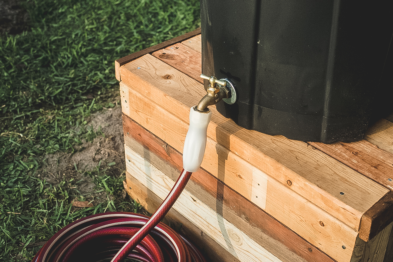 DIY Regentonne: So bauen Sie günstig eineDIY Regentonne: So bauen Sie günstig eine  