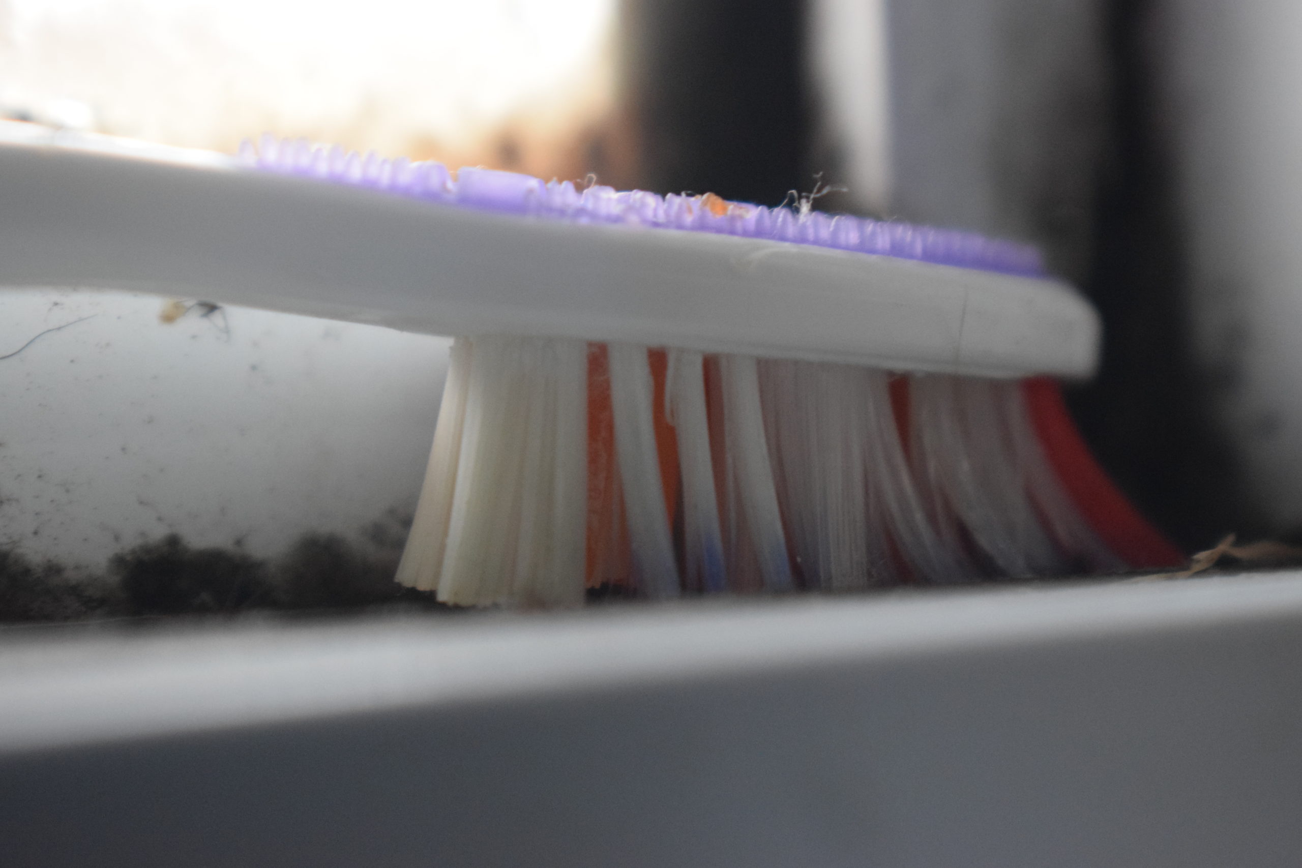 Toothbrush bristles cleaning window track