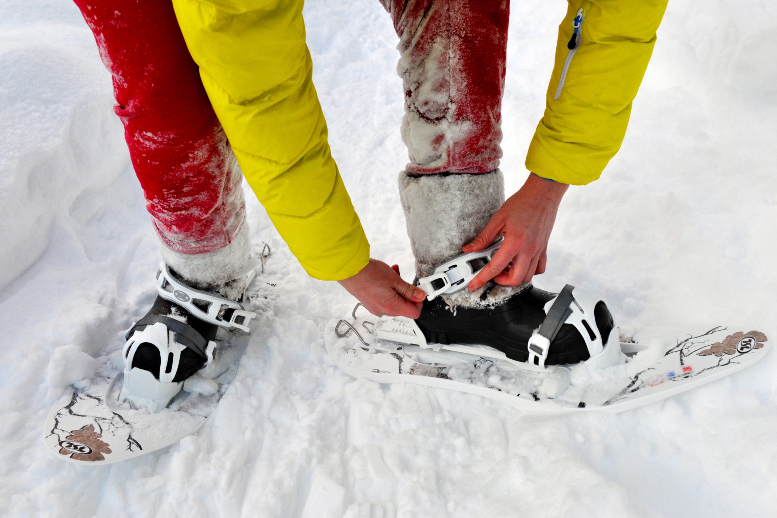 tourist puts on snowshoes