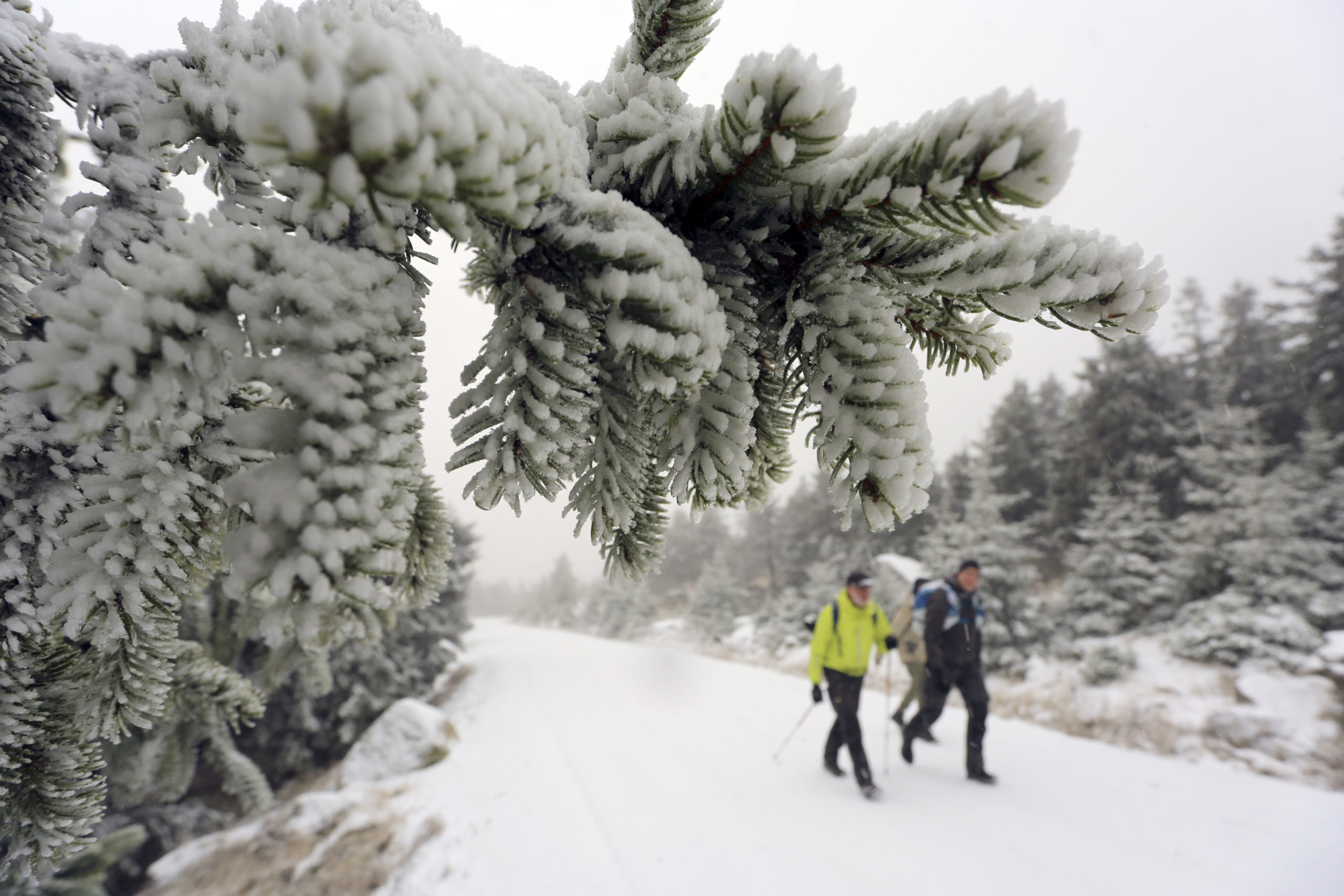 Hikers are on the Brockenstraße