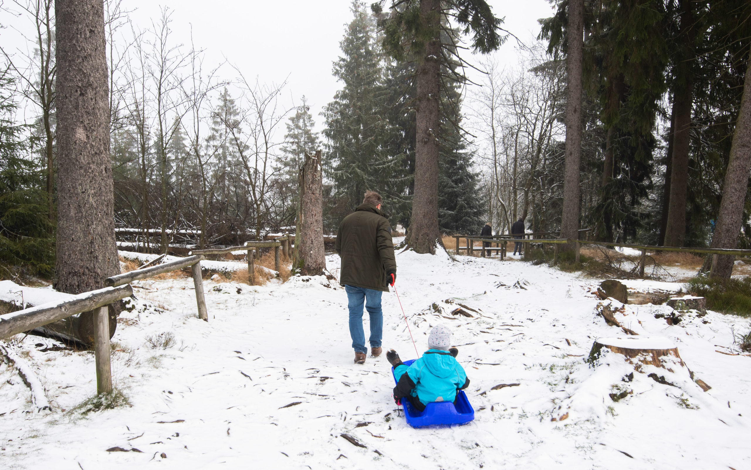 A father pulls his child on a sledge on a hiking trail