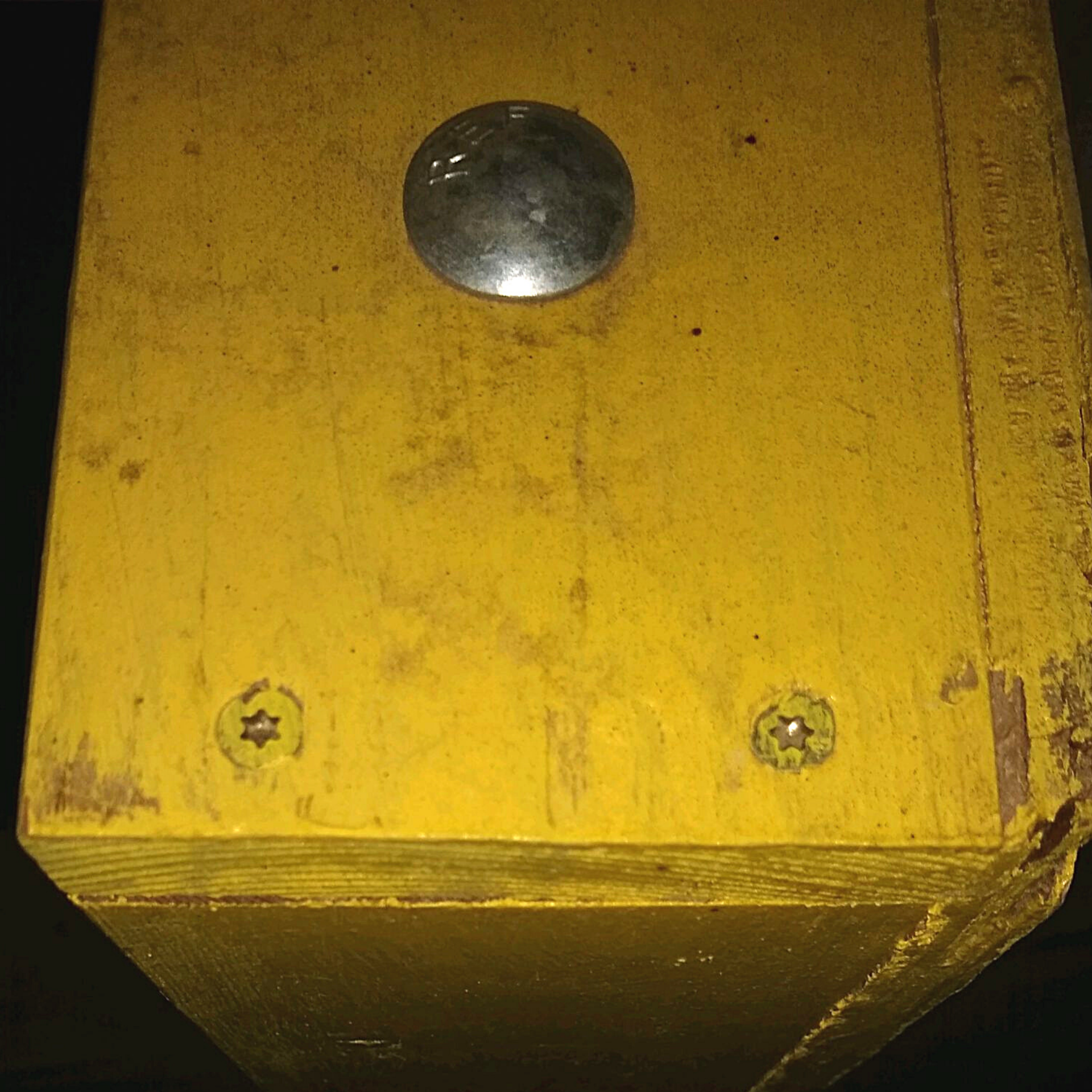 cornhole board corn hole deck screws