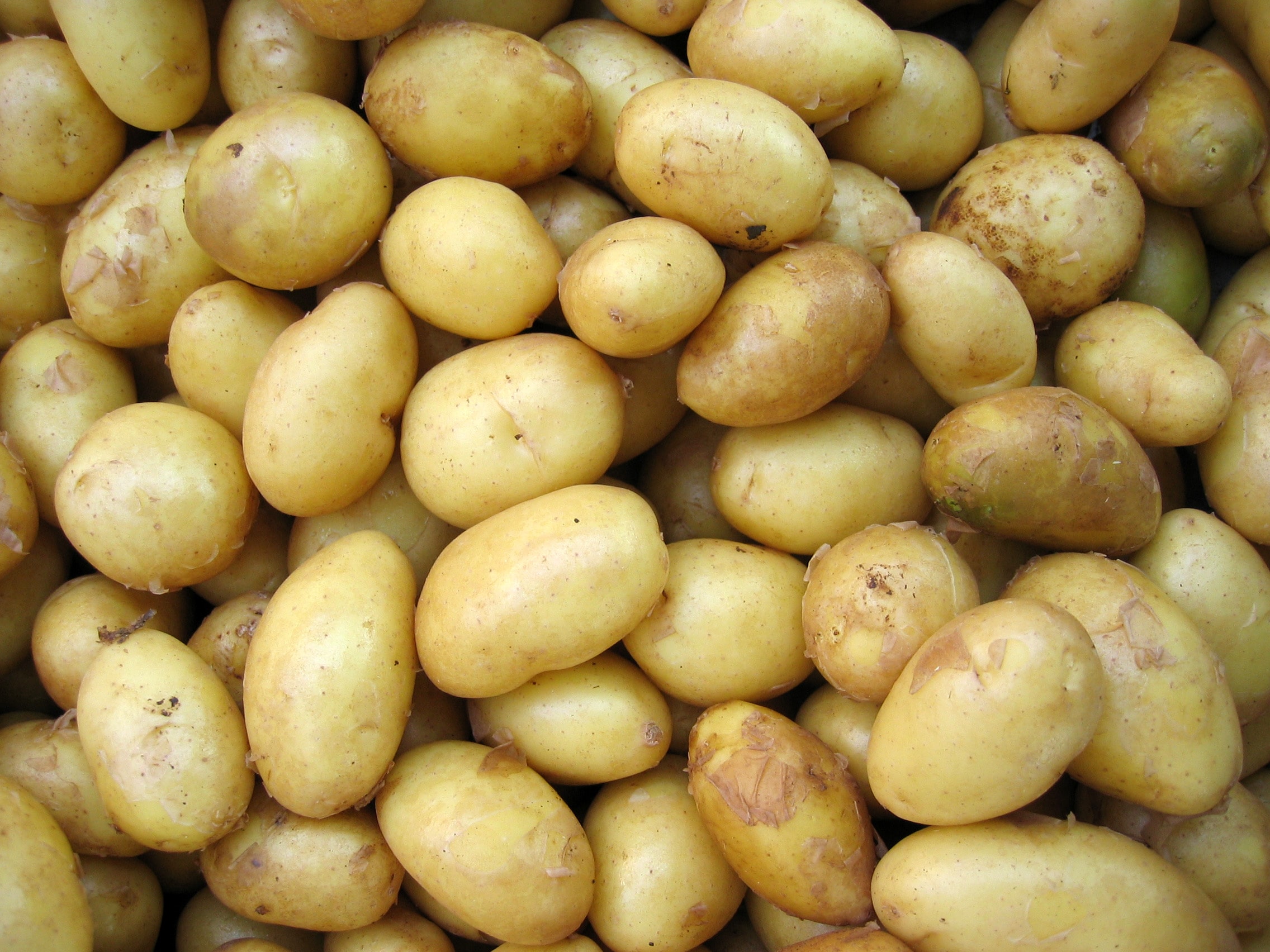 bunch of potatoes