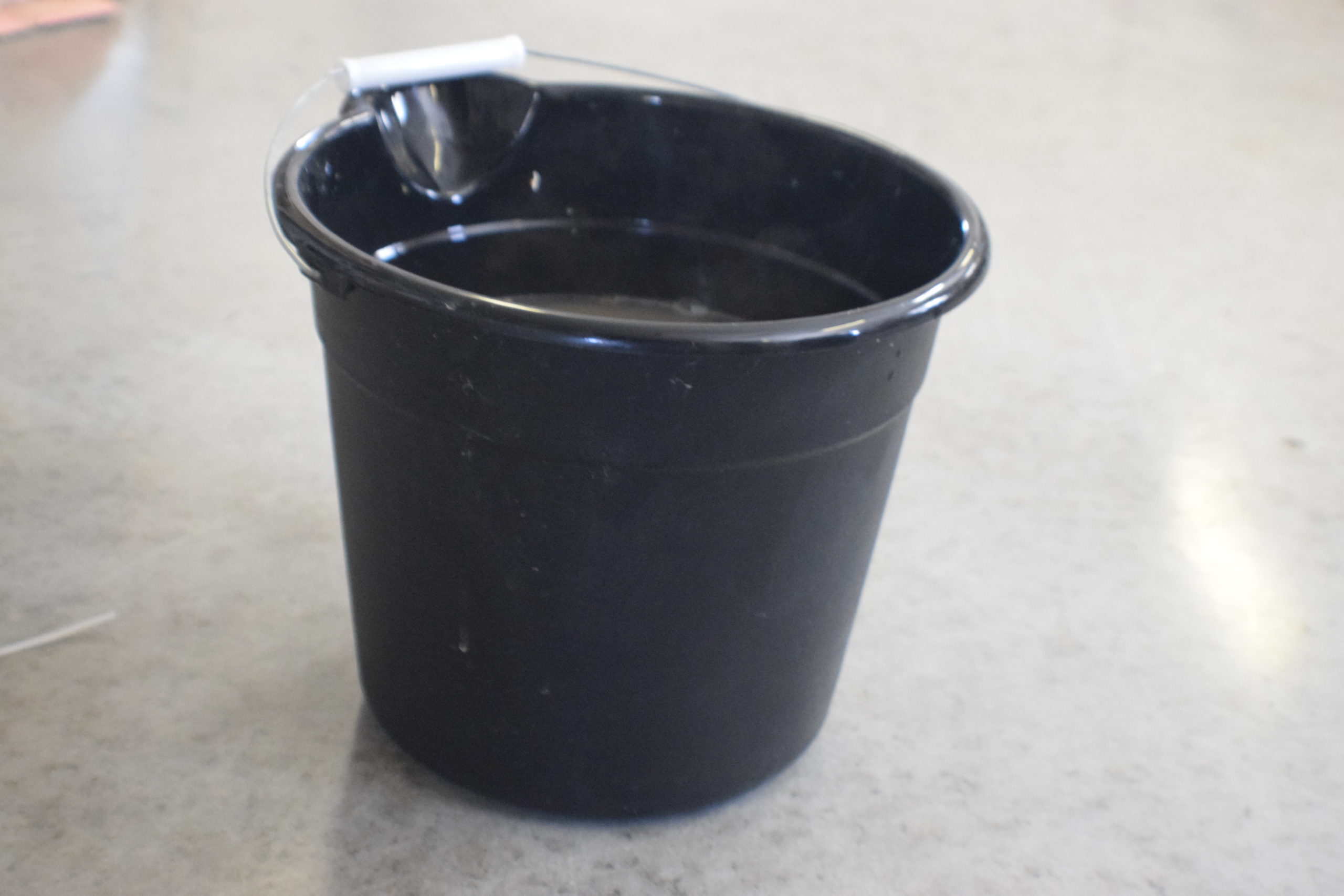 Black bucket of soapy water on a concrete floor