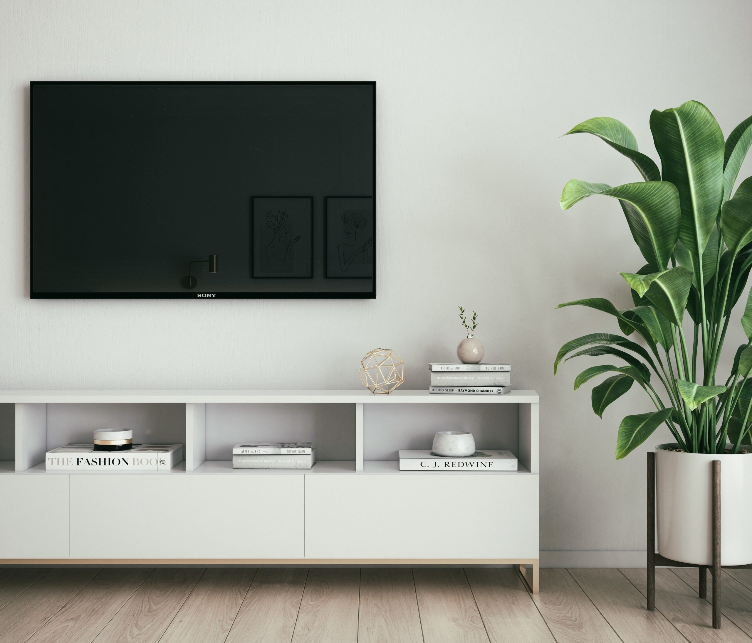 mounted television on living room wall