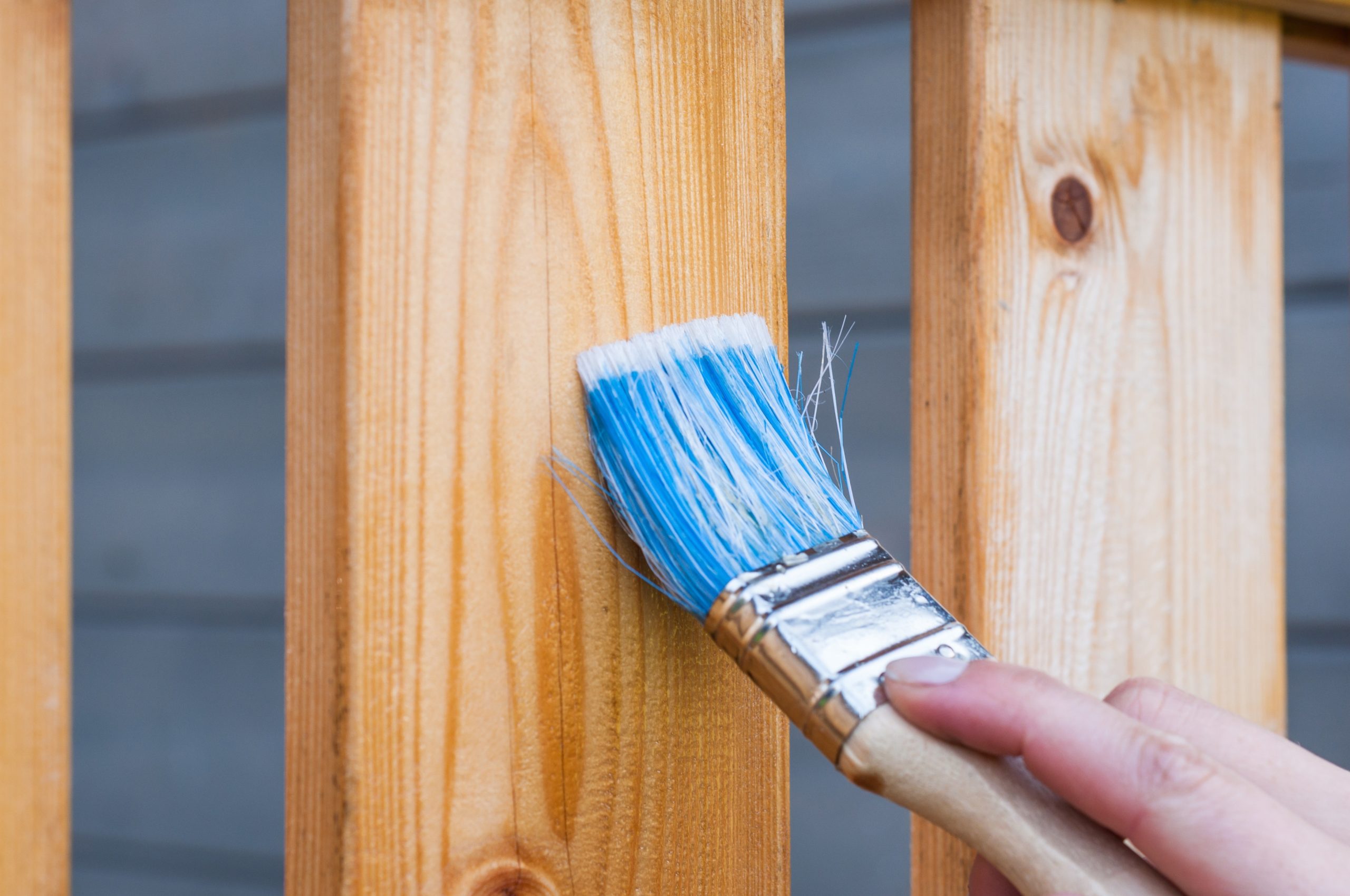 painting varnish on a fence board with a blue bristled paint bruch