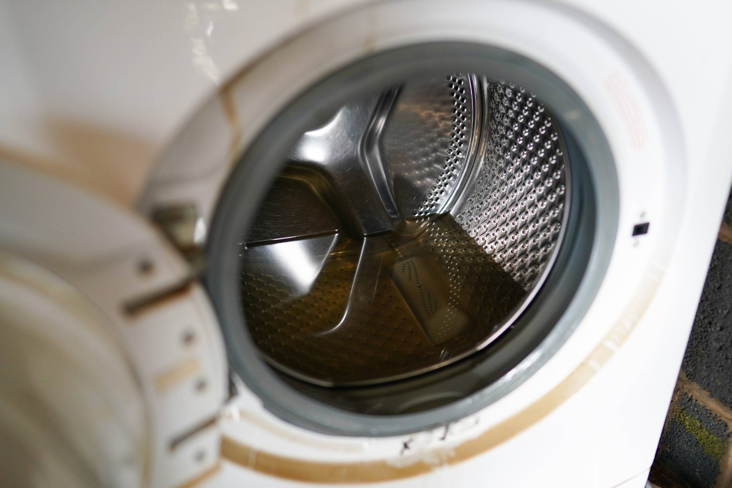 can bacteria survive in the washing machine