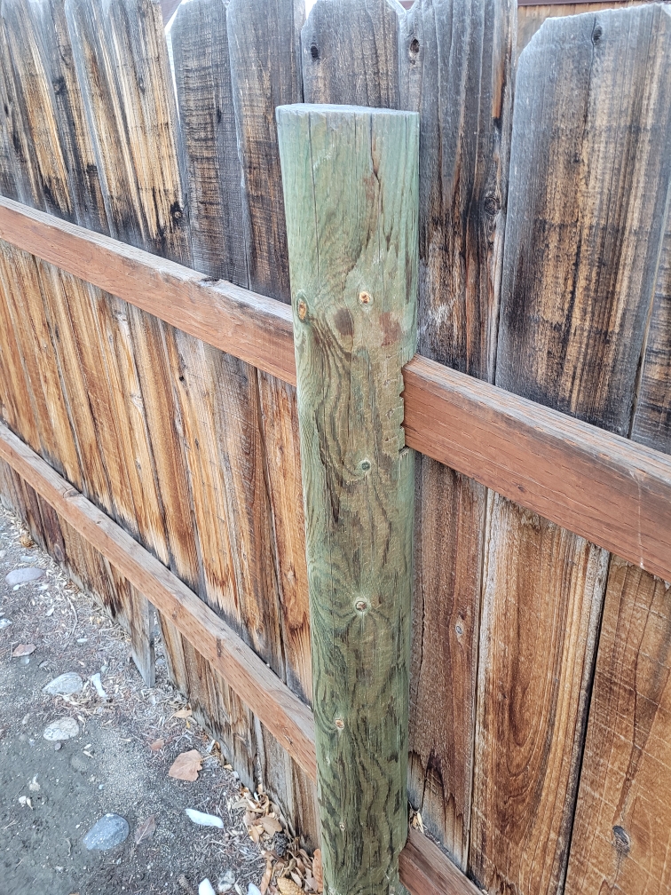 Cedar post fence renewal