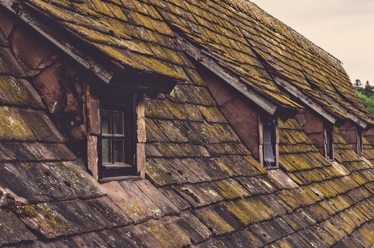 Roof with damaged tiles