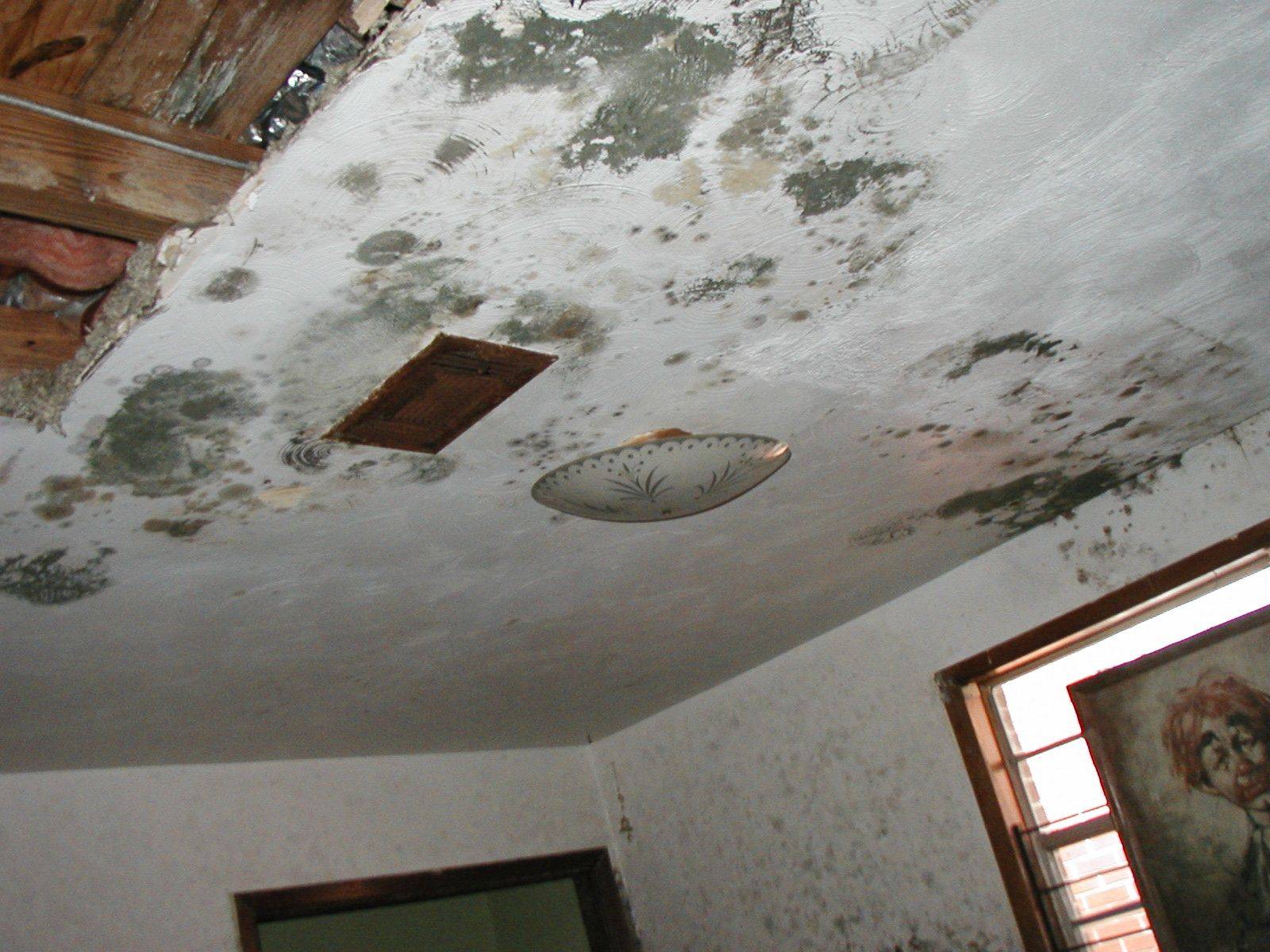 Damaged ceiling with water stains