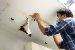 What To Do When Your Ceiling Has Water Damage